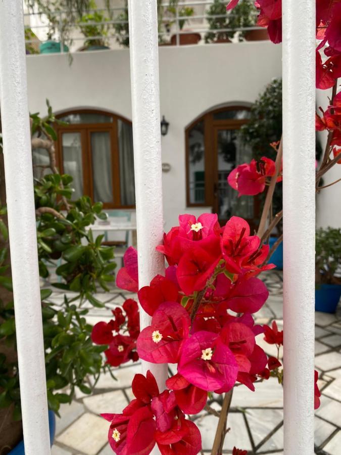 Pallada Boutique Tinos Exterior photo